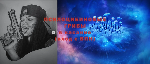 гидропоника Каменка