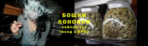 гидропоника Каменка