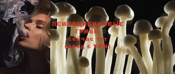 гидропоника Каменка