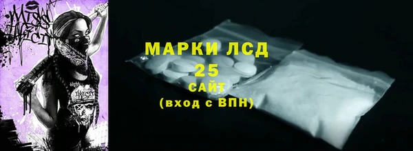 гидропоника Каменка