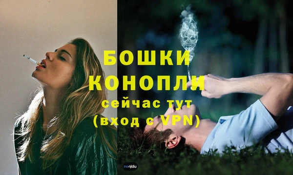 гидропоника Каменка