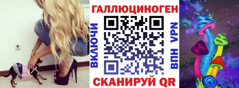 Купить закладки  Верещагино  Галлюциногенные грибы Psilocybe 